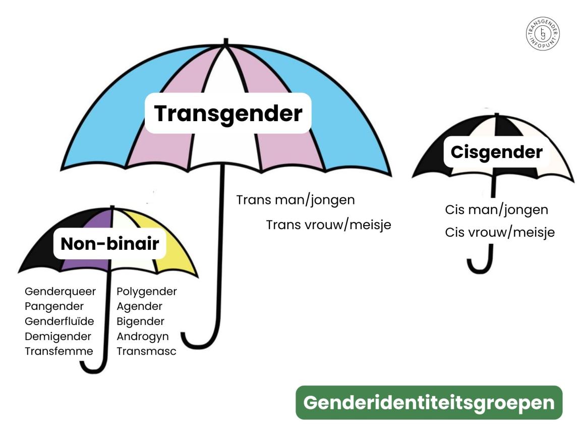 Genderidentiteit | Transgenderinfo