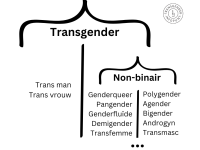 Paraplu met titel transgender, waaronder zowel de identiteiten trans man en trans vrouw zitten, als (deels) een paraplu non-binair en genderqueer, die de identiteiten pangender, genderfluïde, trigender, demigender, transfemme, polygender, agender, bigender, androgyn en transmasc omvat, afgesloten met drie puntjes